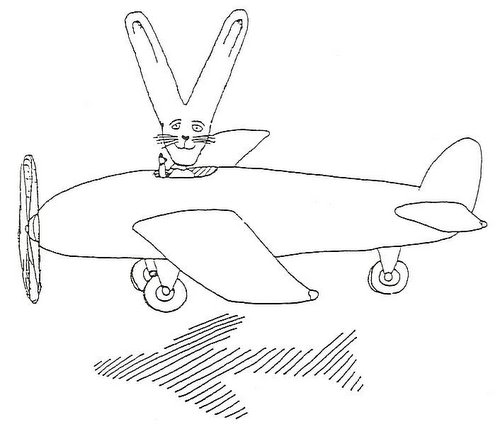 Valentine V flying by in his airplane